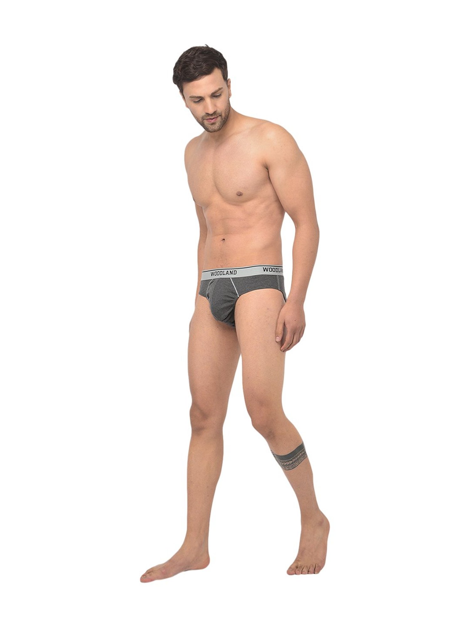 Woodland Dark Grey Solid Briefs