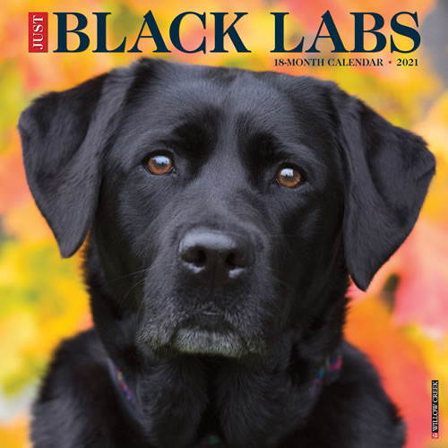 2021 Black Labs Wall