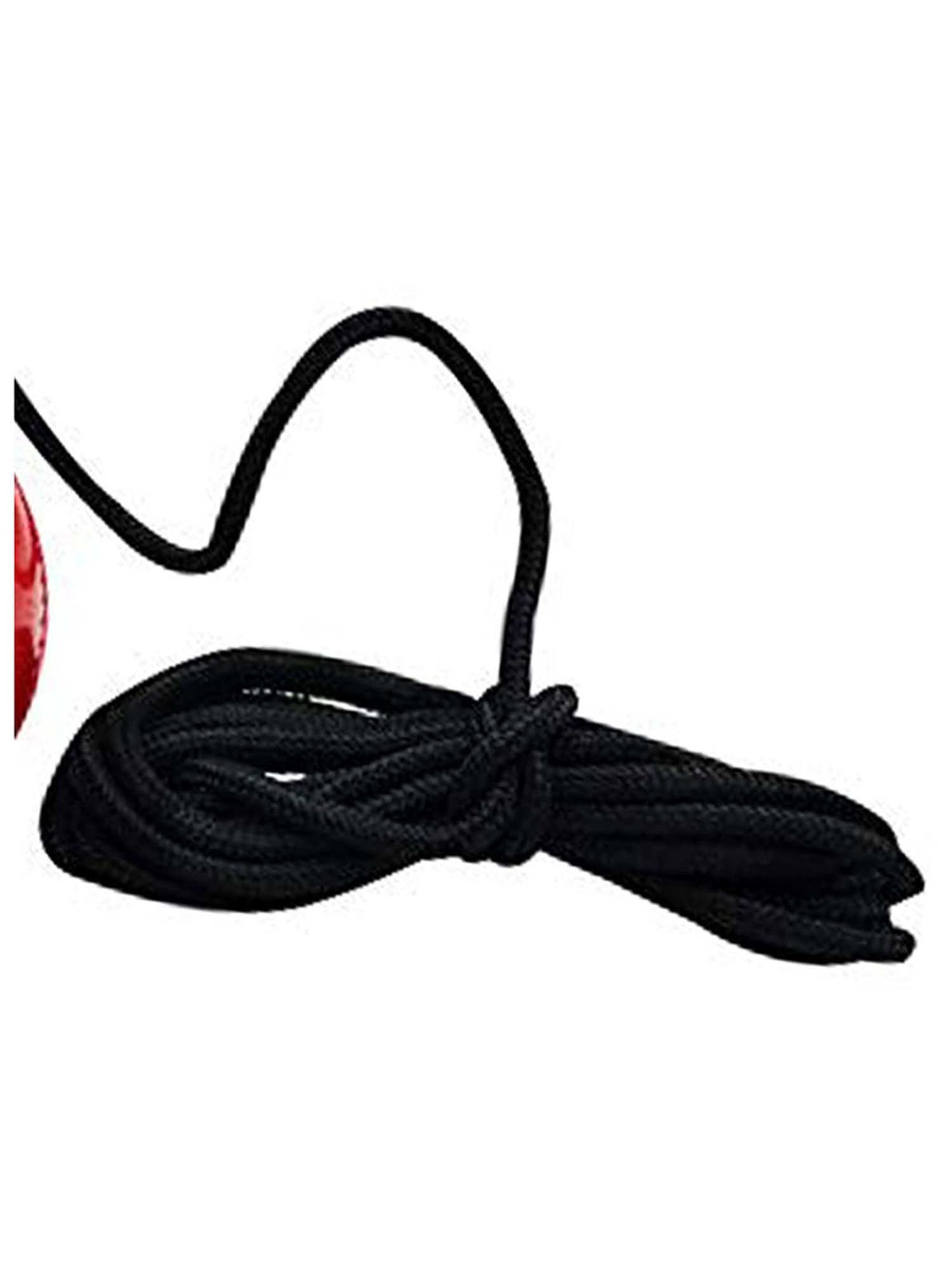 DSC Hanging Synthetic Cricket Ball Size - Standard