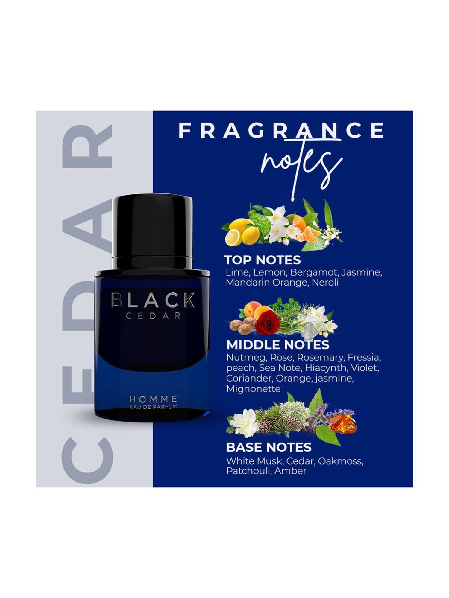 Colorbar Fragrances Black Cidar EDP for Men - 100 ml