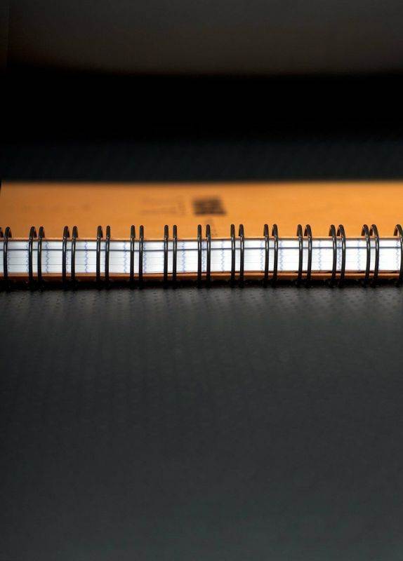 Rhodia Wiredbound - Notebook - Orange - Lined - Meeting Book - 9 x 11.75 -193408