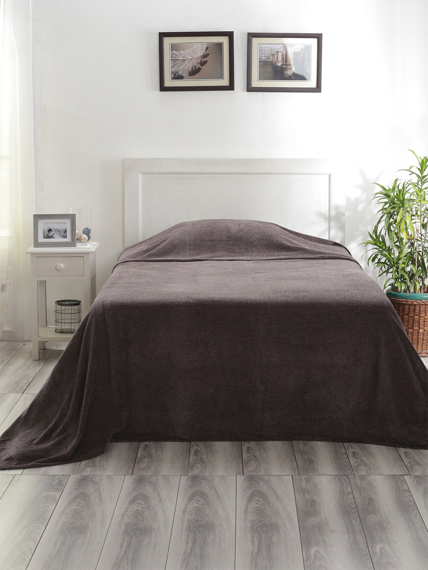 Maspar Colorart Charlotte Solid Grey 110 TC Cotton Blend Single Bed Cover