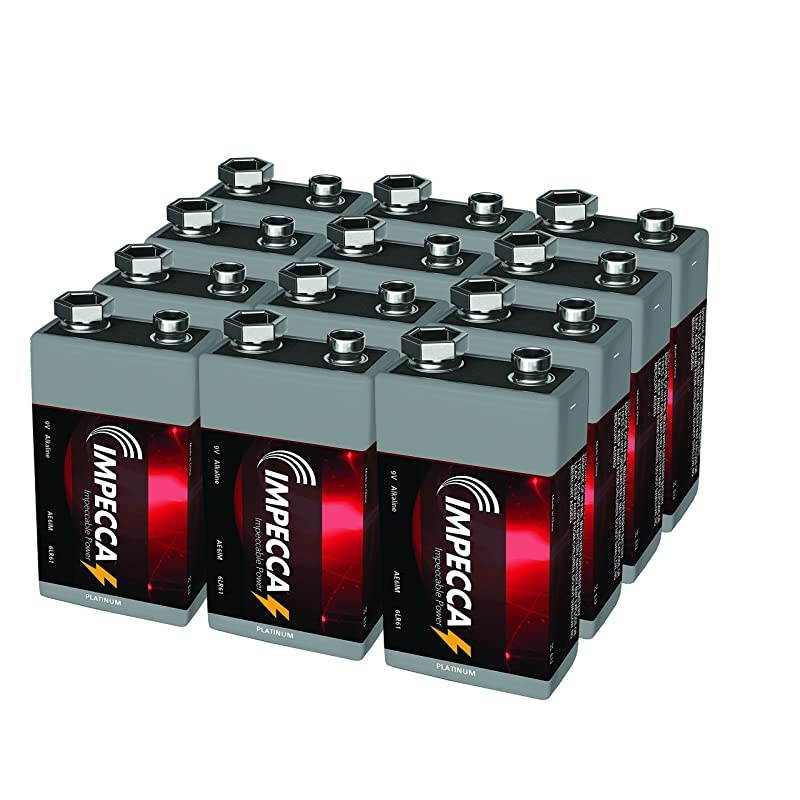 9 Volt Batteries Premium Alkaline 24Pack High Performance Ultra Long Lasting and LeakResistant AllPurpose 9V 24 Count 6LR61 Platinum Series