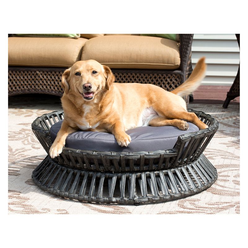 Iconic Beds for Dogs and Cats - Rattan Raised Arc Bed - Black