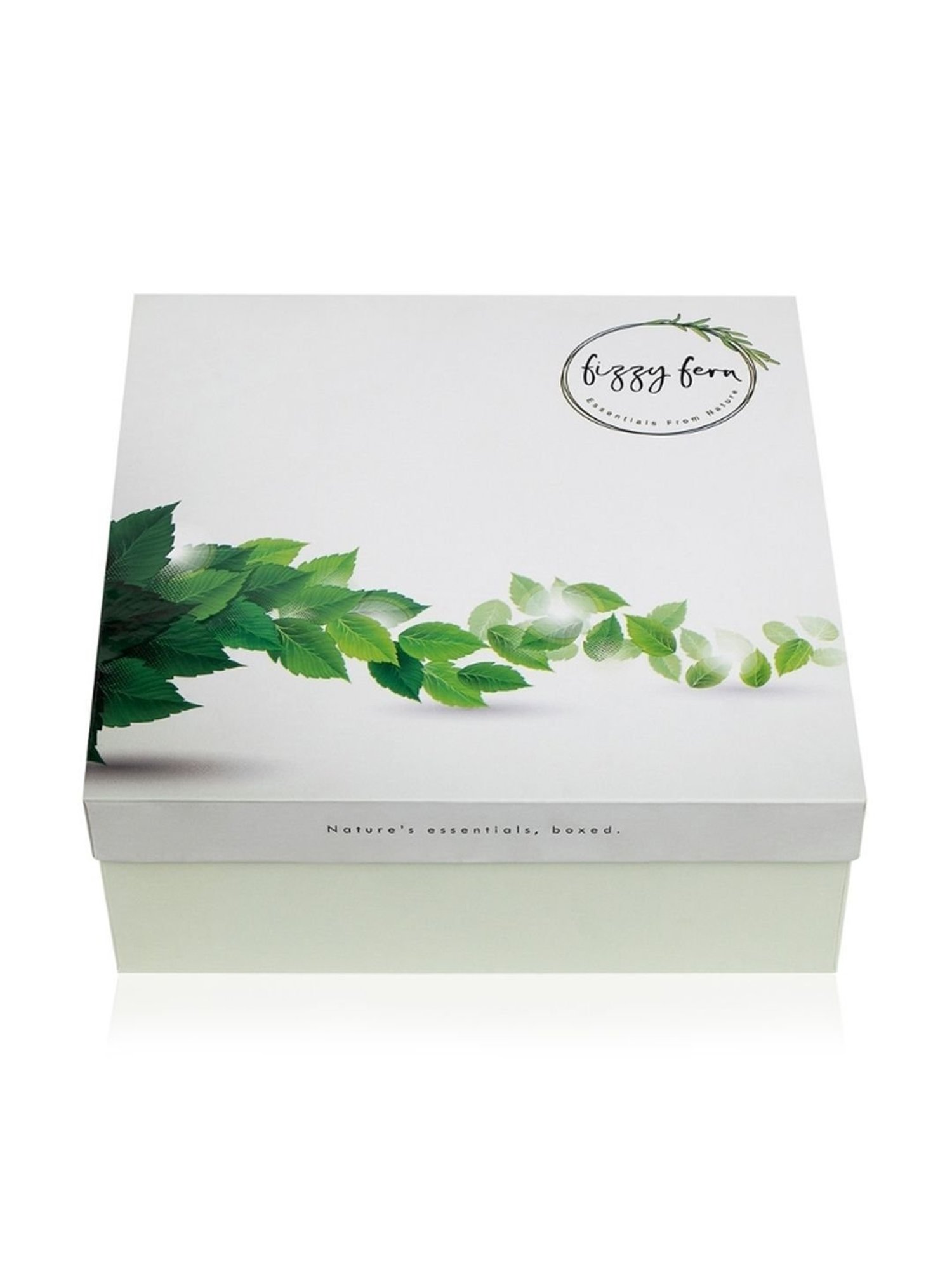 Fizzy Fern Soulful Spa