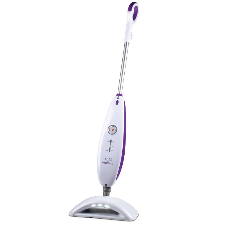 BISSELL ProHeat 2X Lift-Off Pet Upright Carpet Cleaner - 15651