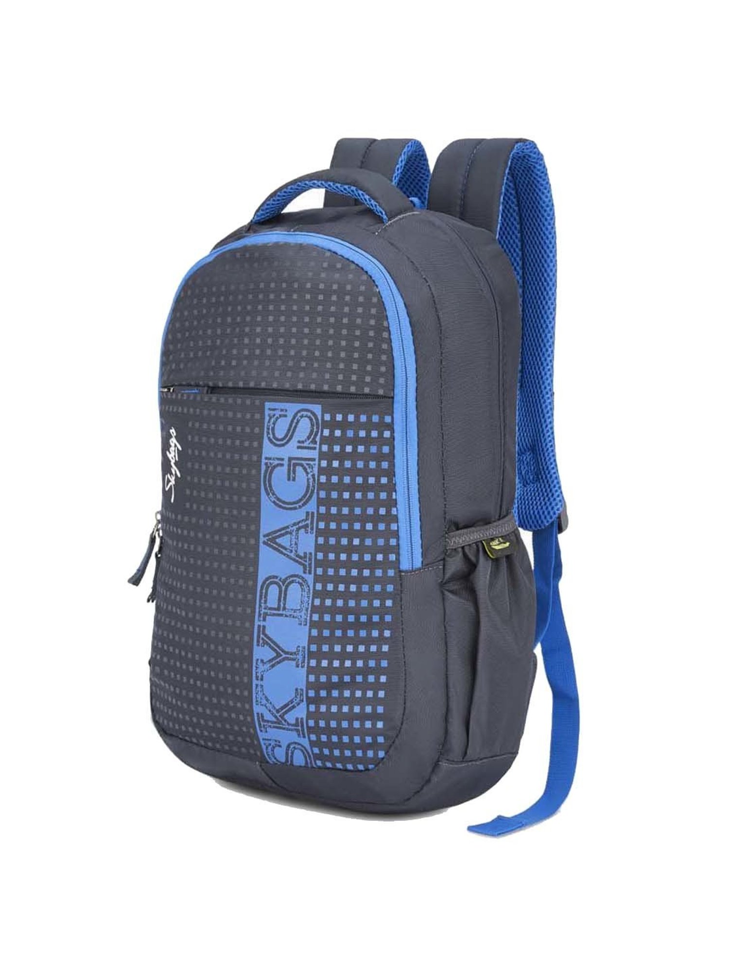 Skybags 27 Ltrs Grey Medium Backpack