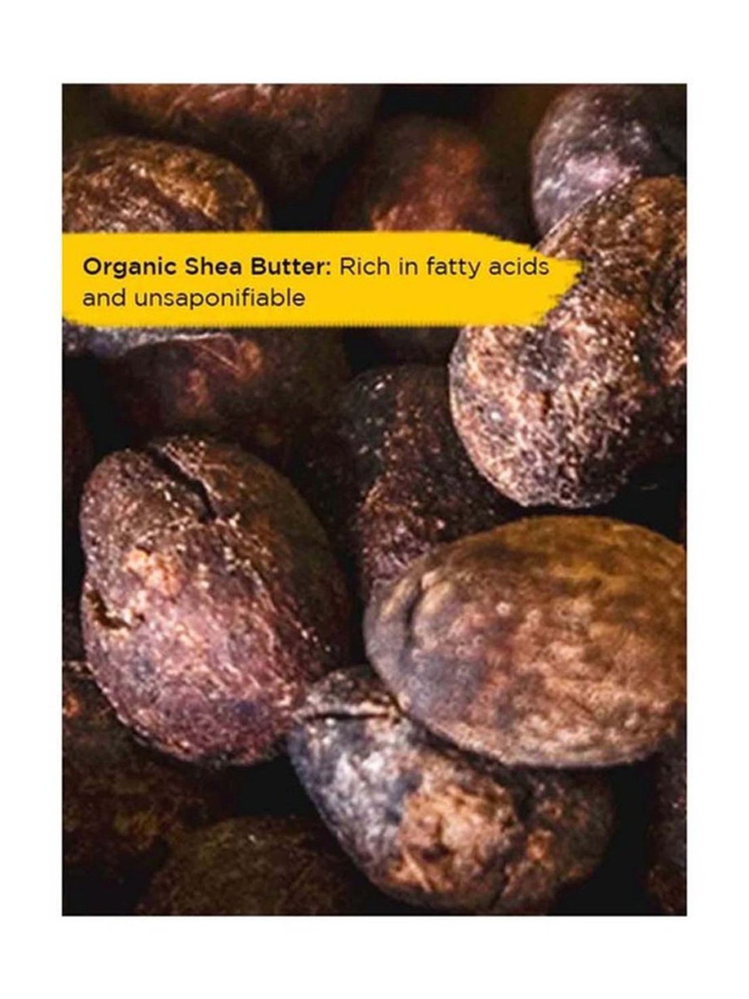 Lotus Herbals Probrite Illuminating Radiance Creme -50 gm