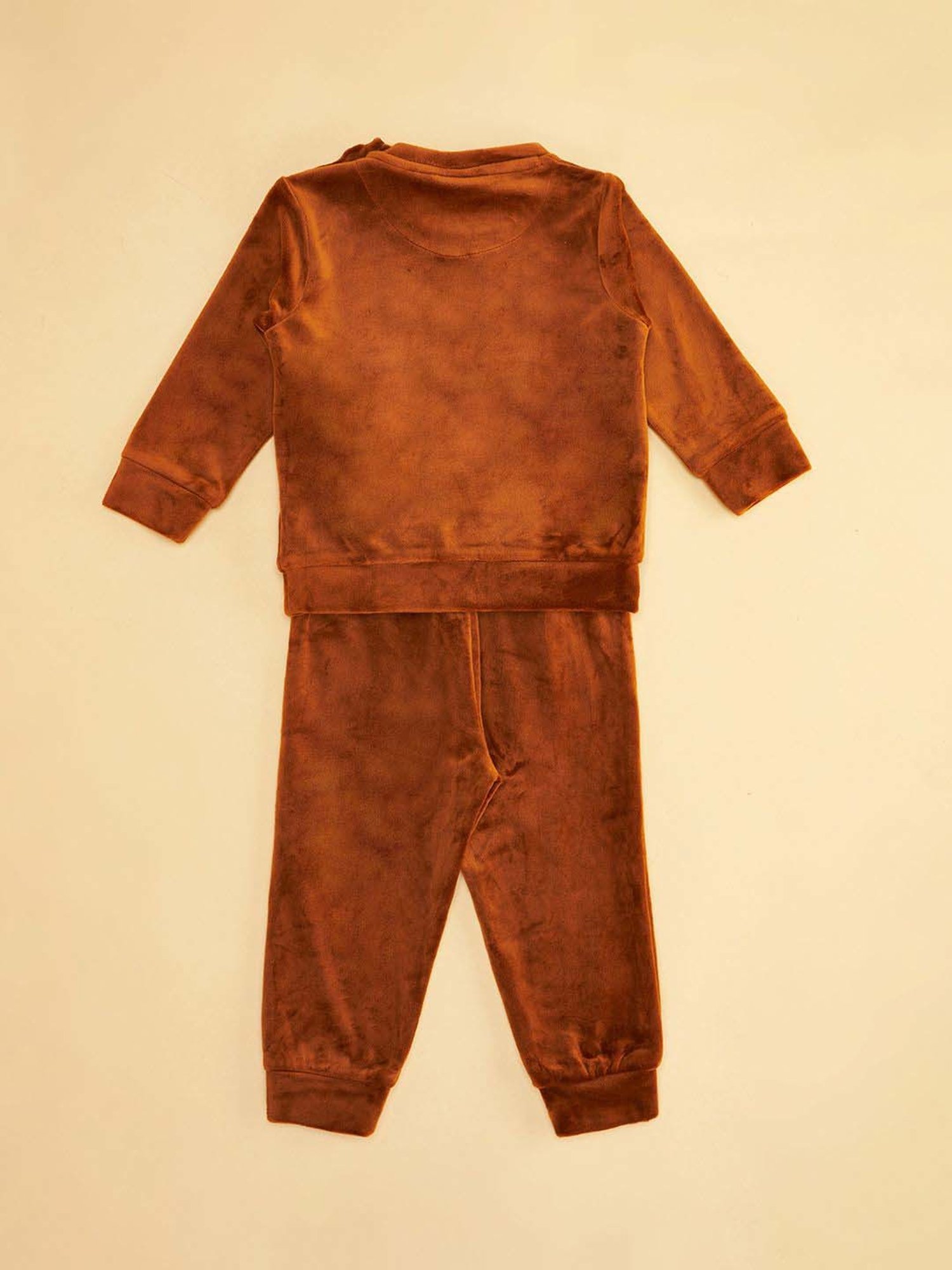 Pantaloons Baby Brown Cotton Printed Full Sleeves Sweatshirts Set