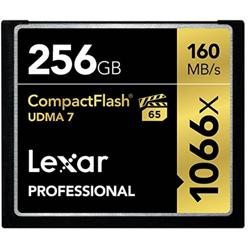Lexar Professional 256 GB Compact Flash (CF) Flash Card