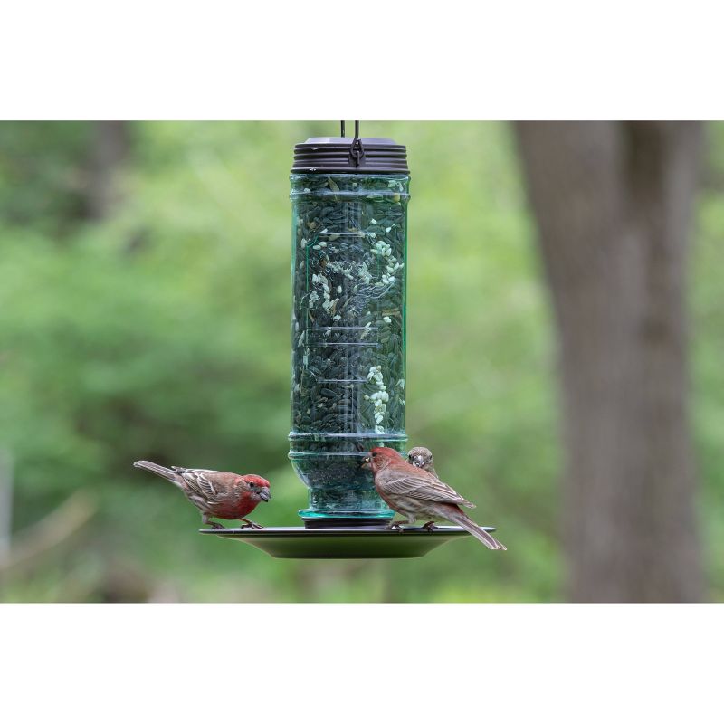 Droll Yankees Stokes Select Songbird Vintage Feeder - Pewter
