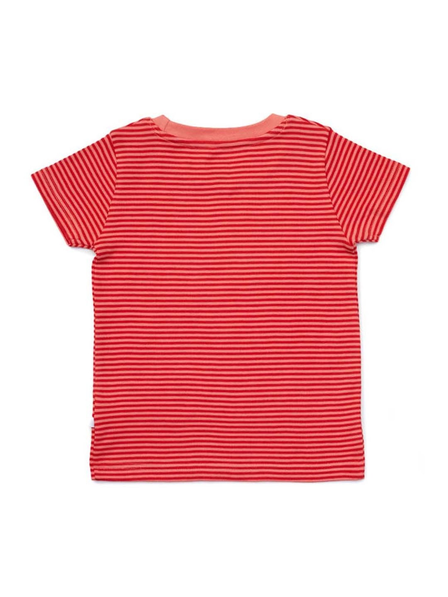 Pranava Boys Multicolor Printed T-Shirt (Pack of 2)