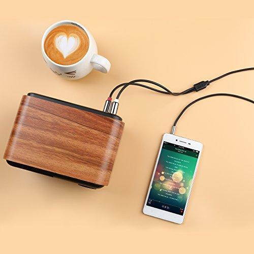 Cablecreation 3 Feet RCA Audio Cable 3.5mm Male to 2-Male RCA Cable, Y Splitter Design Stereo Audio RCA Male Cable, 1 Meter, Black