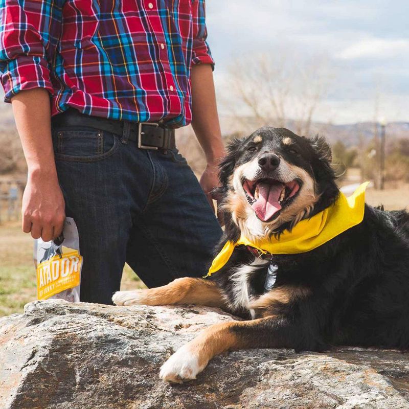 Matador Slow Cooked & Smoked Teriyaki Beef Jerky - 3oz