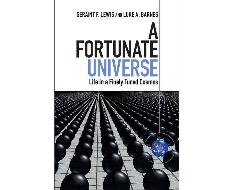 School Administrative Aide - (Career Examination) by  National Learning Corporation (Paperback)