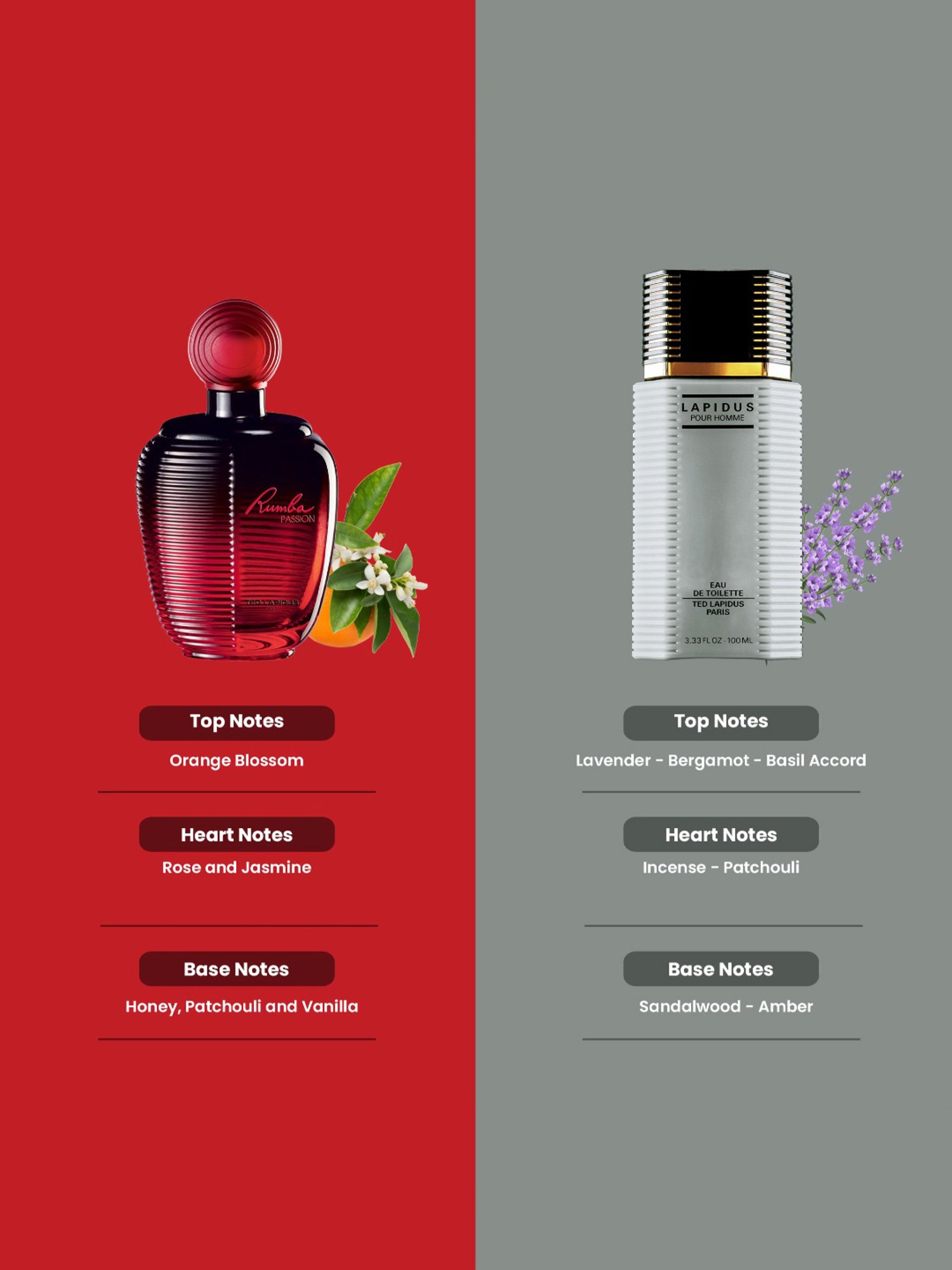 Ted Lapidus Rumba Passion & Pour Homme Eau de Toilette Combo