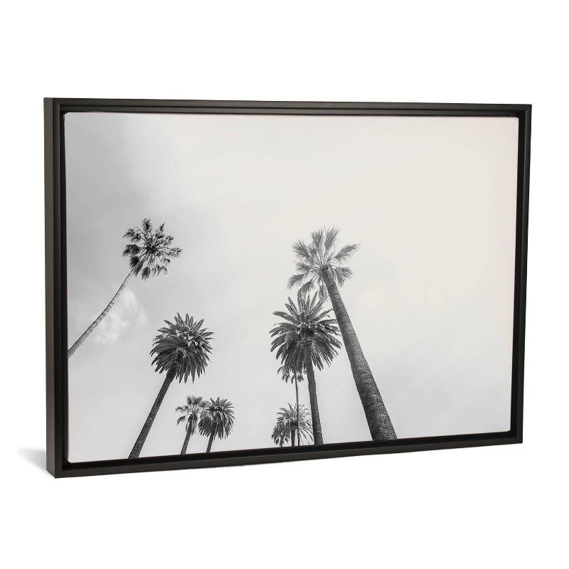 40" x 26" 8 Palms by Honeymoon Hotel Framed Canvas Print Black - iCanvas