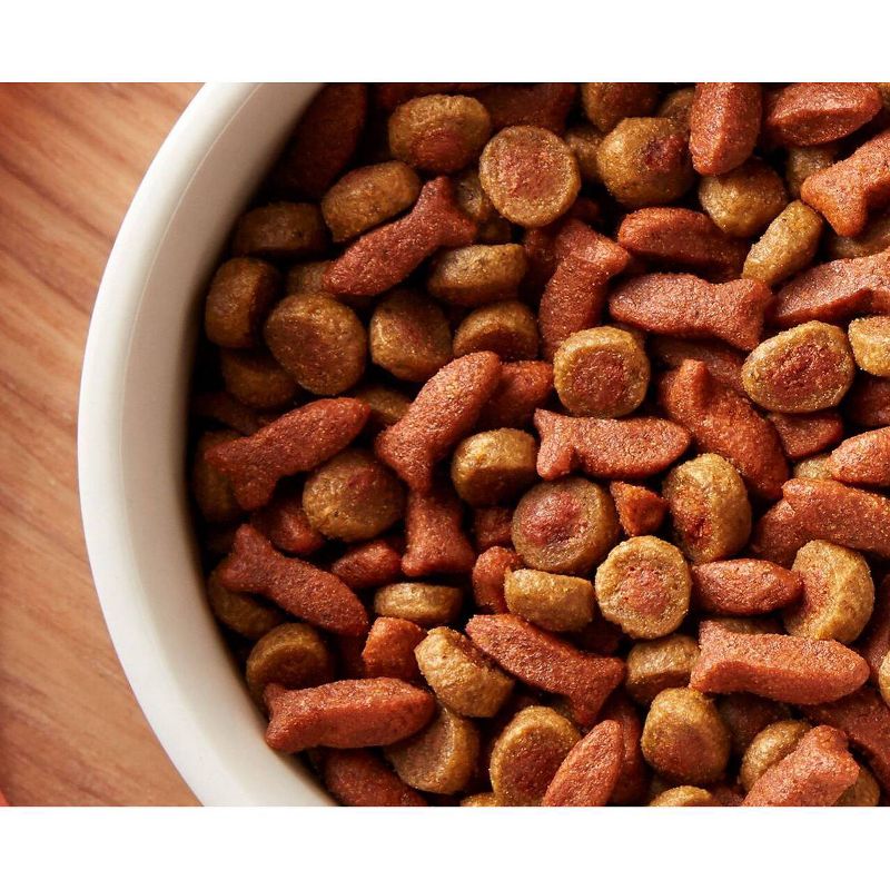 Rachael Ray Nutrish Tasty Salmon and Veggies Recipe Dry Cat Food - 5lbs