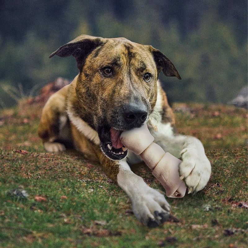 Cadet 4-5 Inch Rawhide Knotted Bones (1 lb Pack)