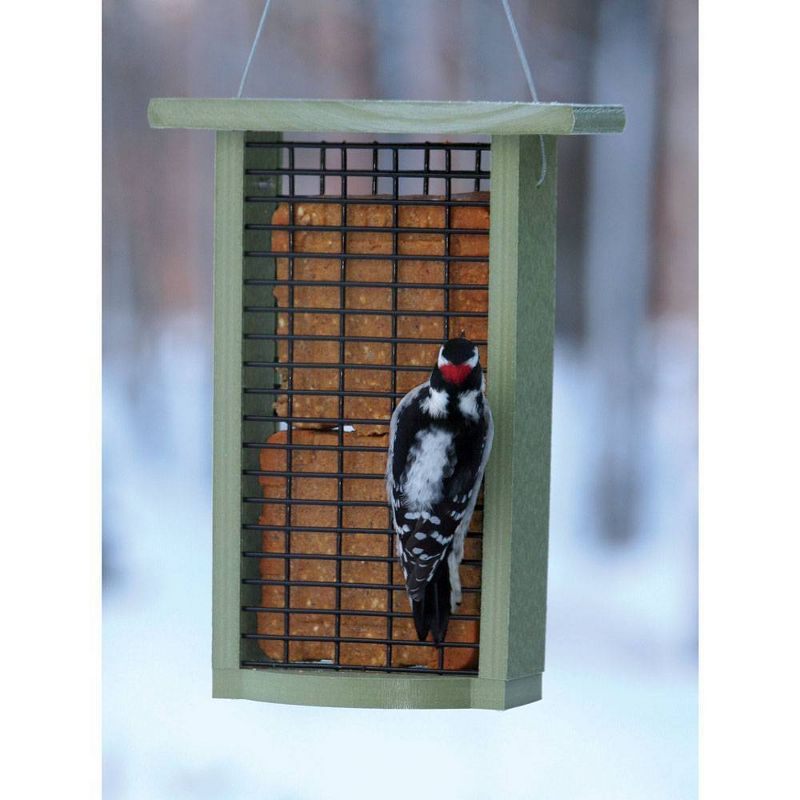 Birds Choice Green Solutions Double Suet Bird Feeder