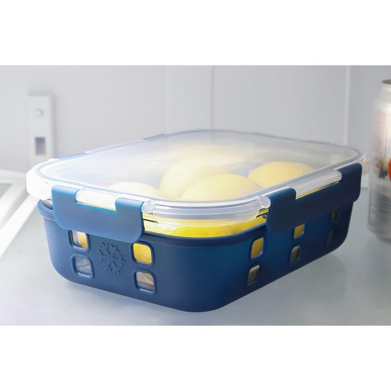 Michael Graves Design Rectangle X-Large 51 Ounce High Borosilicate Glass Food Storage Container with Plastic Lid, Indigo