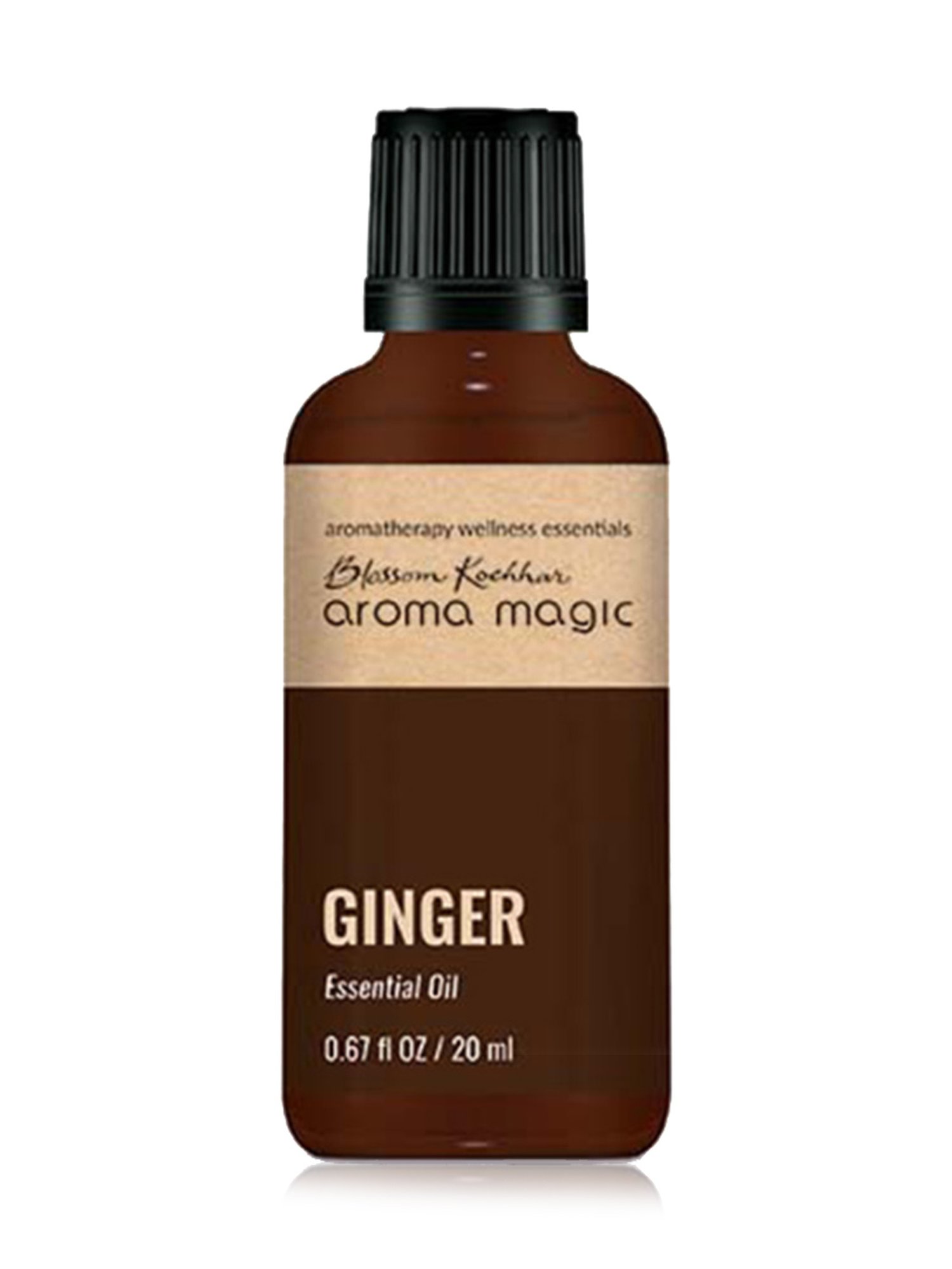 Aroma Magic Ginger Essential Oil - 20 ml