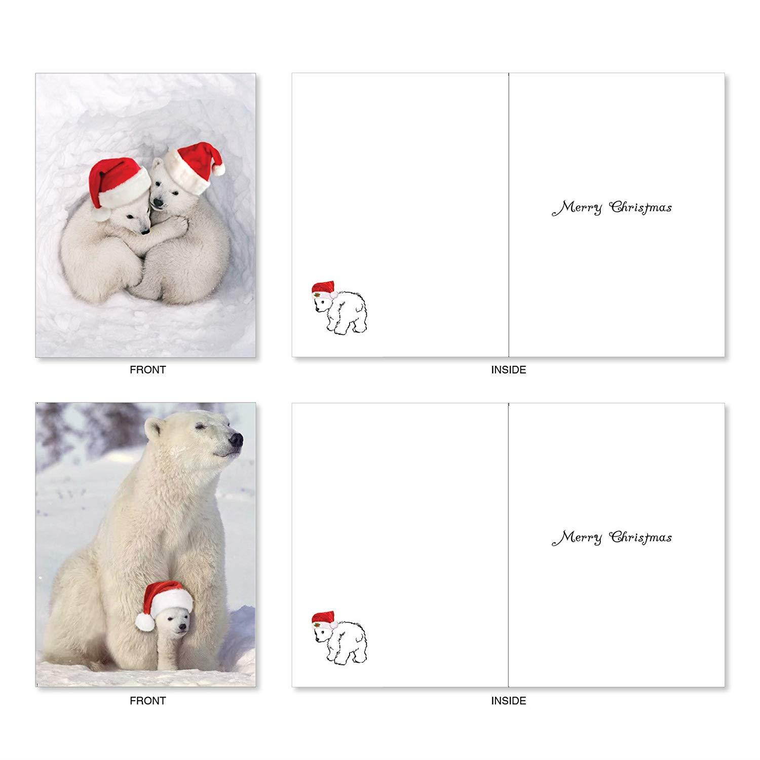Bear Hugs: 10 Assorted Christmas Greeting Cards Santa's Hat and Lovable Polar Bears Cuddling, with Envelopes. AM6327XSG-B1x10