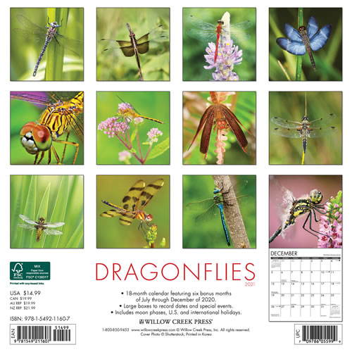 2021 Dragonflies Wall