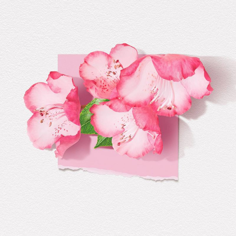 Solinotes Women's Body Spray - Cherry Blossom - 8.45 fl oz