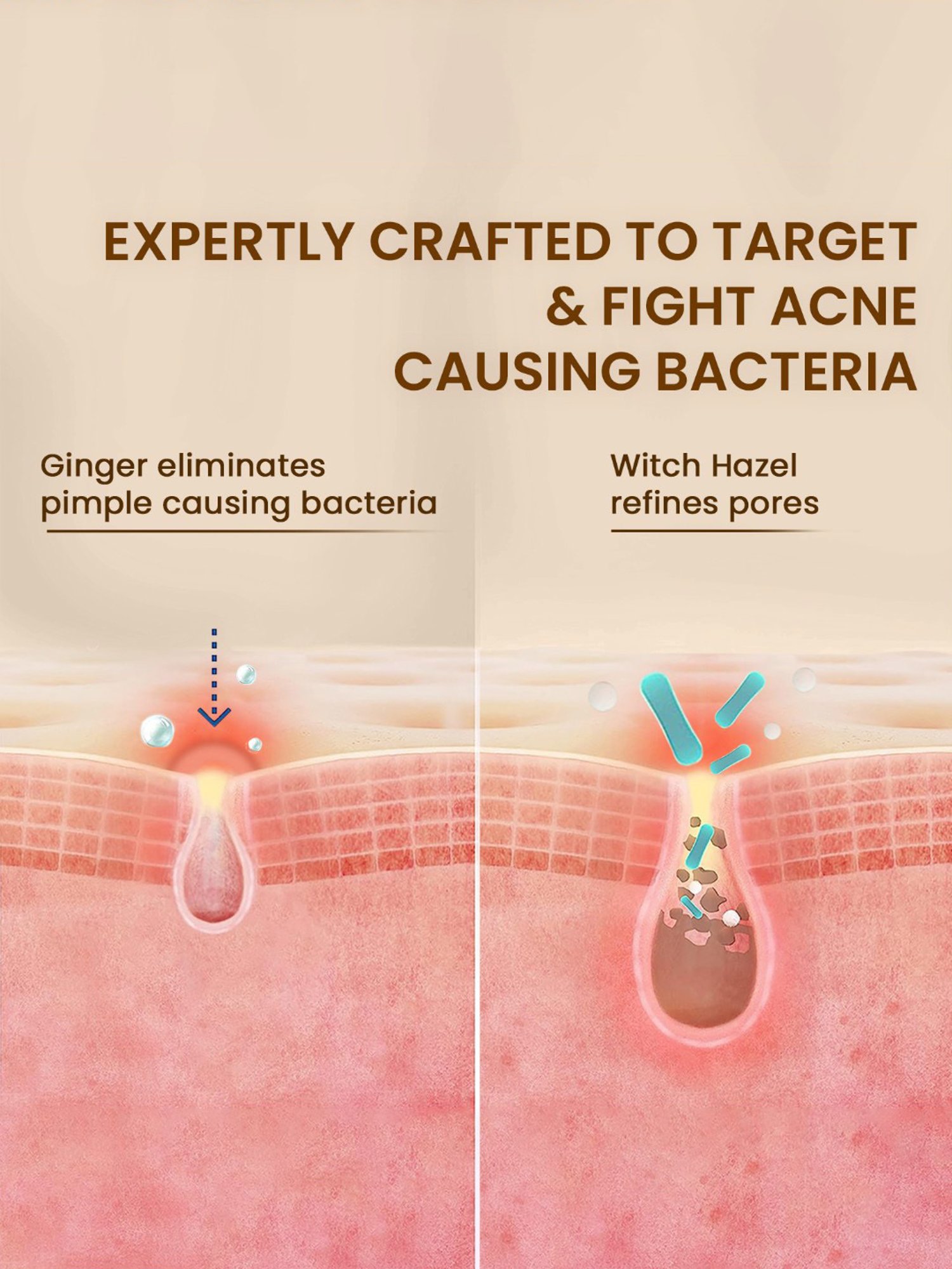 The Skin Story Ginger & Cinnamon Pimple Control Face Wash - 100 ml