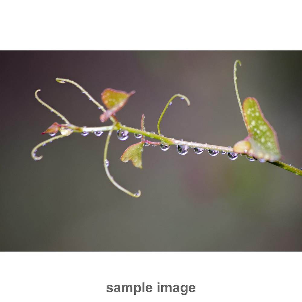 Pentax HD DA 20-40mm F2.8-4 ED Limited DC WR Zoom Lens - Black #23000