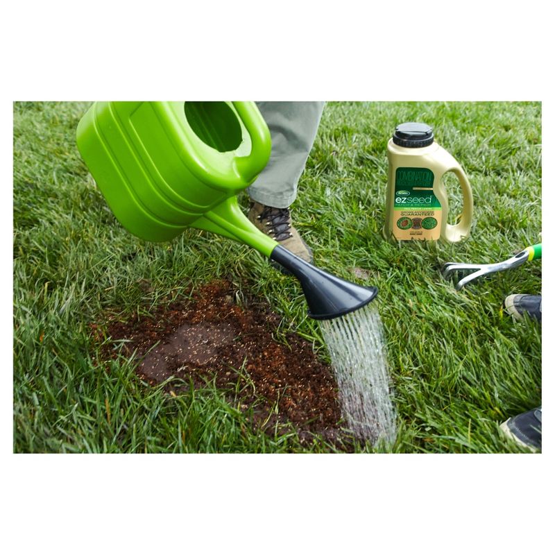 Scotts EZ Seed Tall Fescue 3.75lb Jug