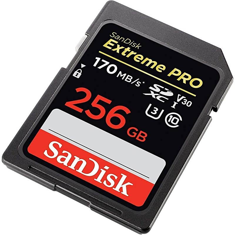 256GB SDXC Extreme Pro Memory Card Bundle Works with Sony Alpha a6000 Mirrorless Camera ILCE6000 4K V30 SDSDXXY256GGN4IN Plus 1 Everything But Stromboli TM Combo Card Reader
