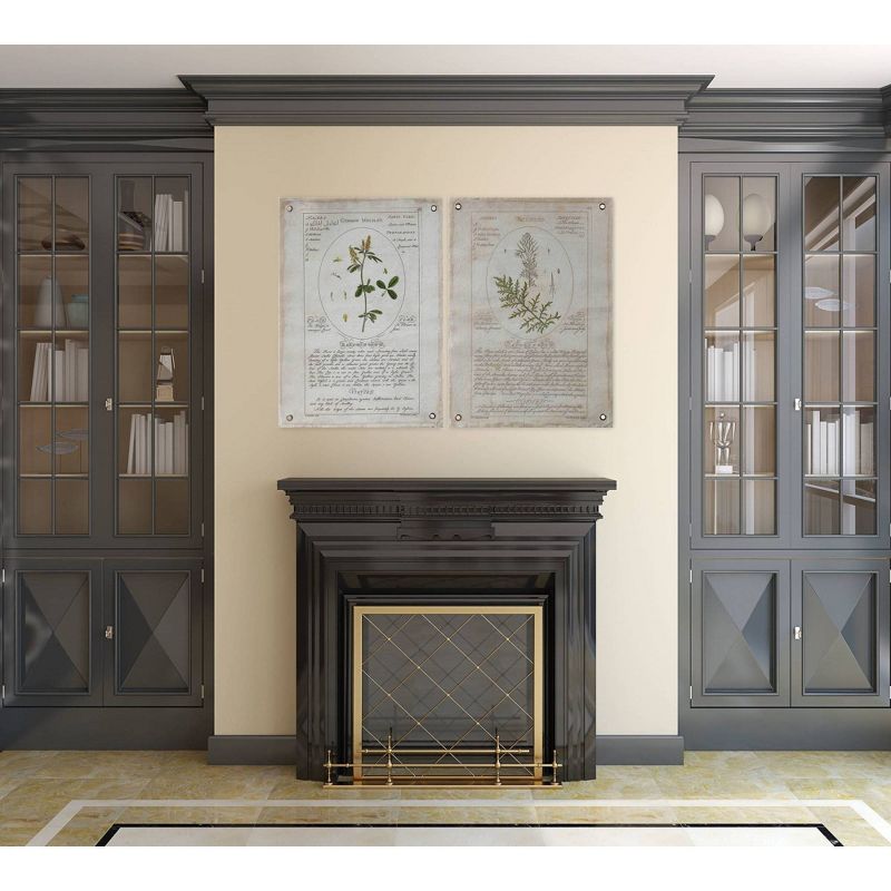 Set of 2 Styles Botanical Descriptions on Canvas with Grommets Decorative Wall Art - 3R Studios