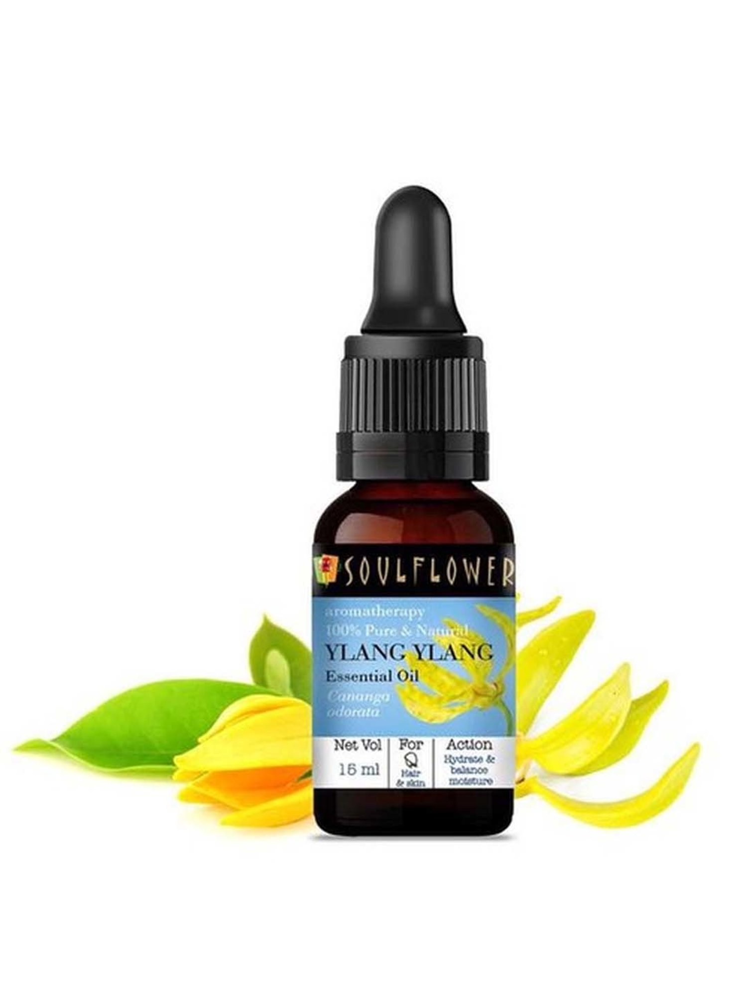 House of Beauty Pigmentation Oil - 30 ml