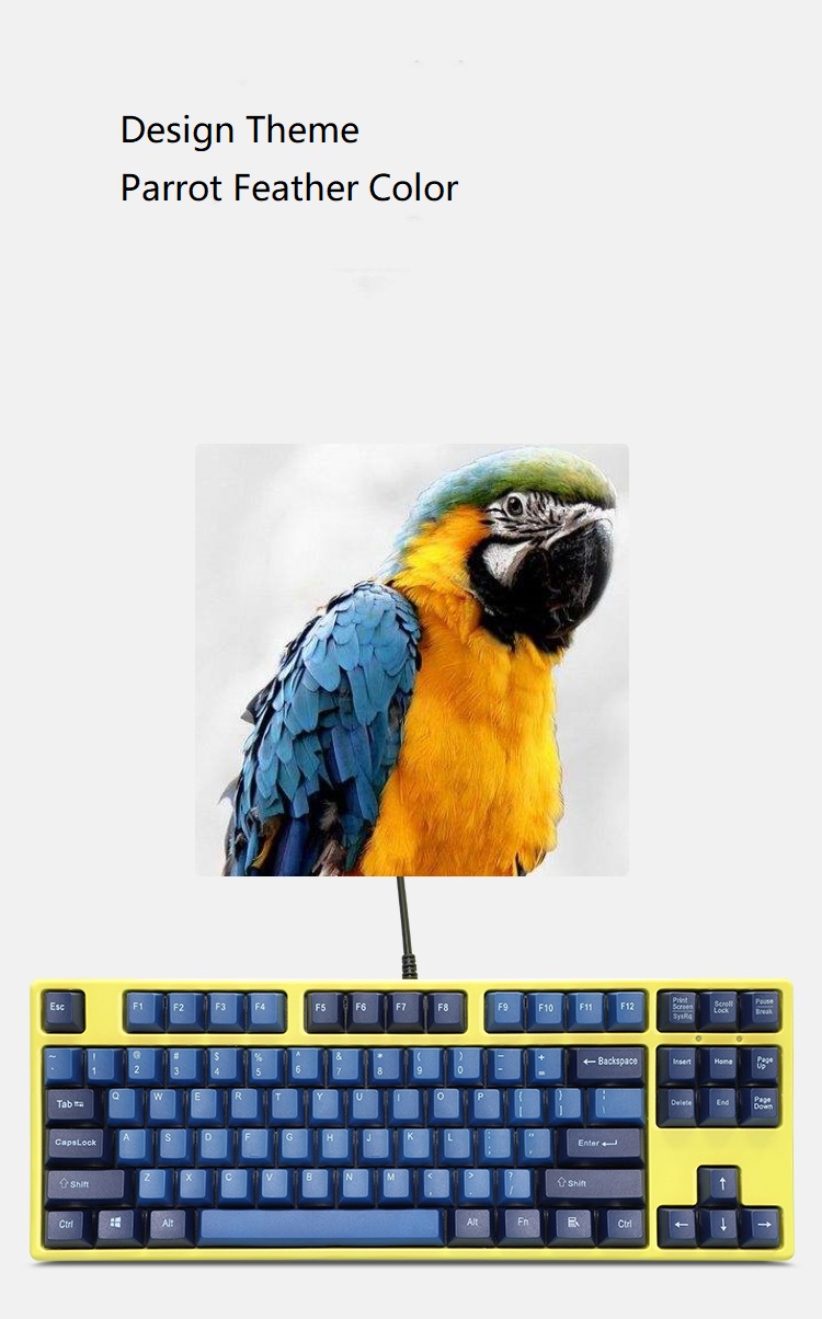 Royal Kludge RK987  N-key Rollover Ergonomic Design,Cool Exterior USB Wired PBT Keycaps White Backlit Keyboard for Gaming and Office - Black( RK Black Switch)