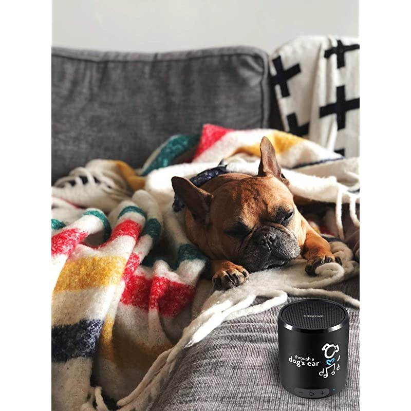 50b Bluetooth Speaker + 3hrs ClinicallyTested Classical Dog Calming Music Through a Dogs Ear | Your Proven Canine Anxiety Solution