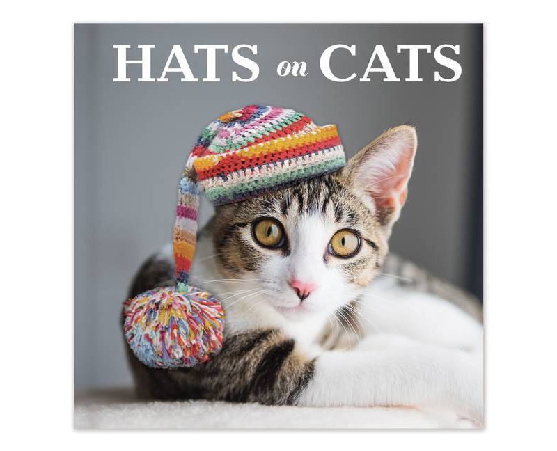 Hats on Cats (Hardcover)