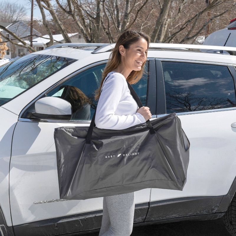 ​Fisher-Price Baby Bouncer
