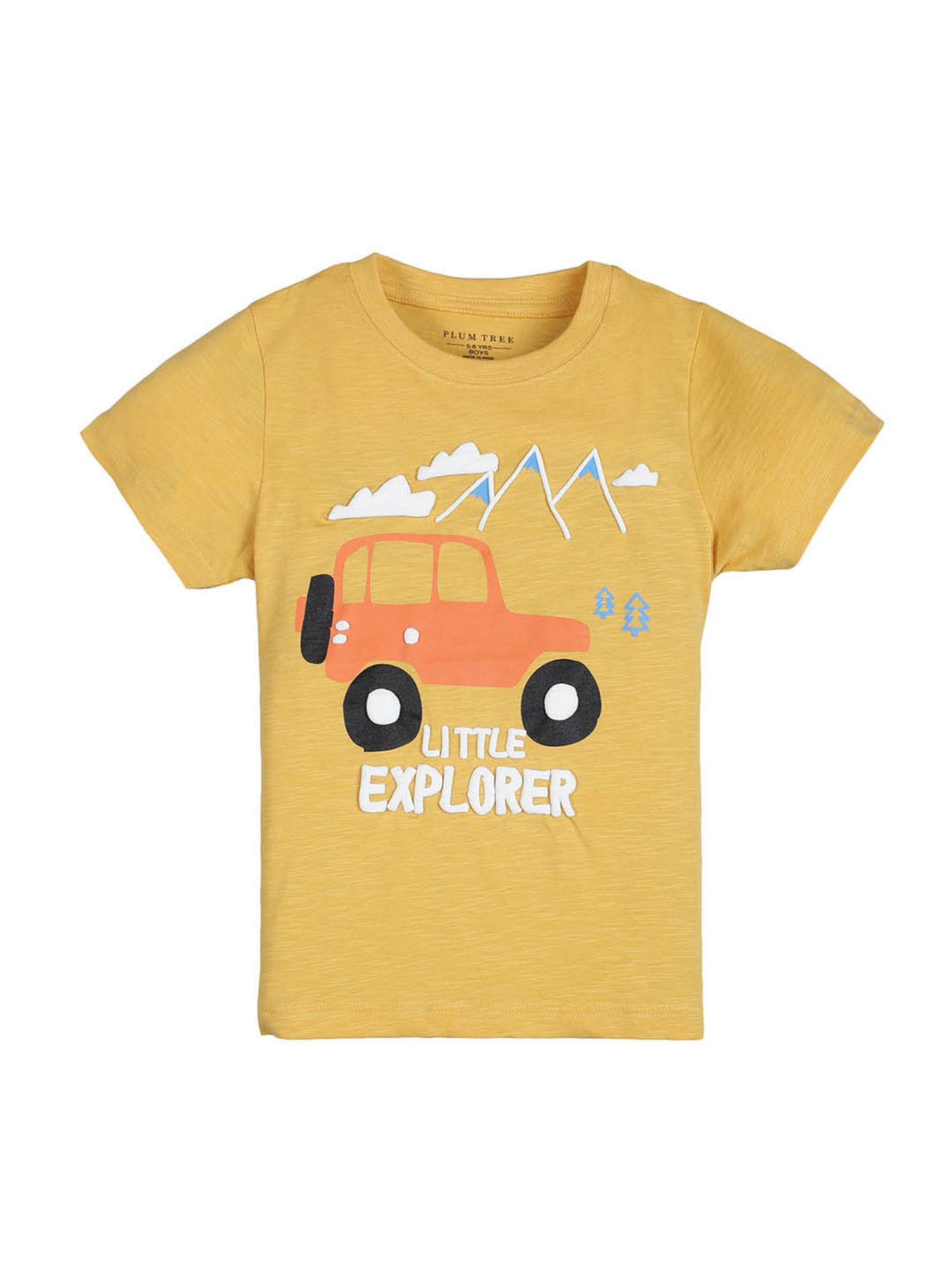 Plum Tree Kids Multicolor Printed T-Shirt (Pack Of 2)