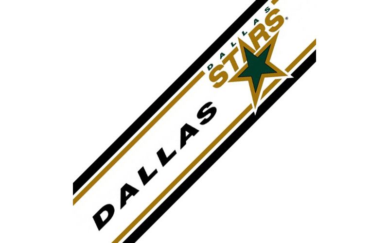 NHL Prepasted Hockey Wall Border Roll - Dallas Stars..