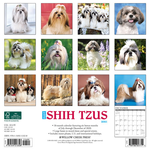 2021 Shih Tzus Wall