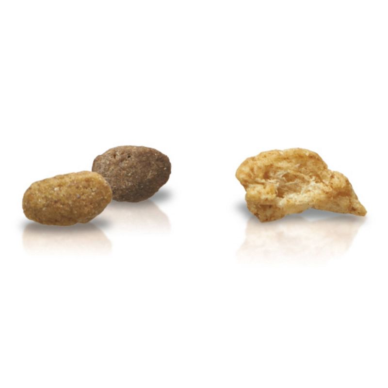 Purina ONE Tender Selects Blend with Real Chicken Adult Premium Dry Cat Food - 7lbs