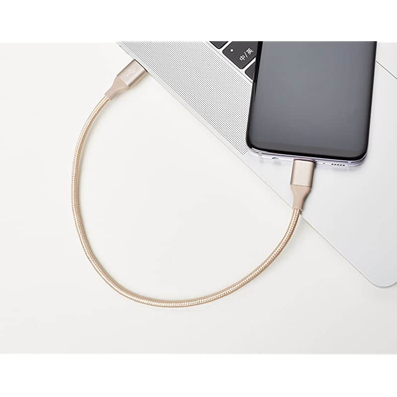 Double Braided Nylon USBC to USBC 20 Fast Charging Cable 3A 1Foot Gold