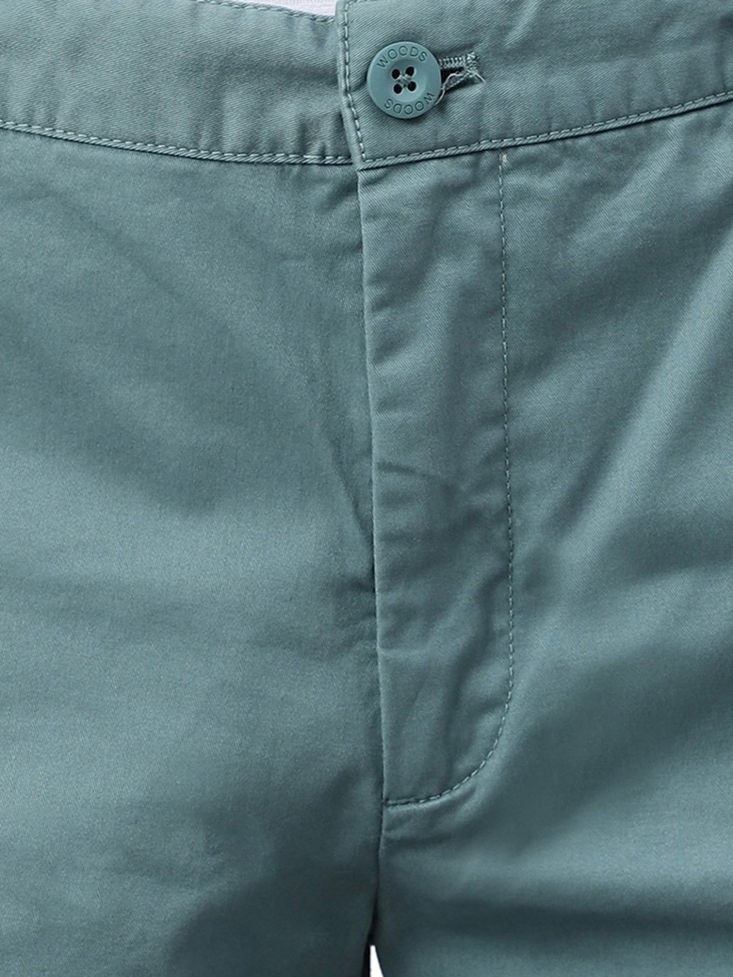 Woods Light Green Regular Fit Chino Shorts
