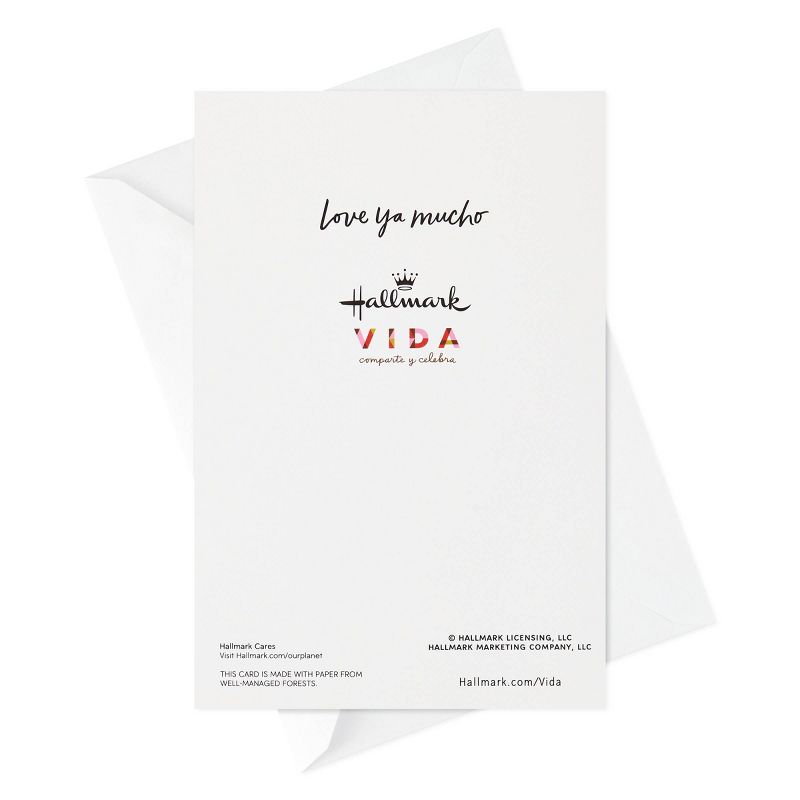 16ct Hallmark Vida Lettering on Santa's Beard Boxed Cards