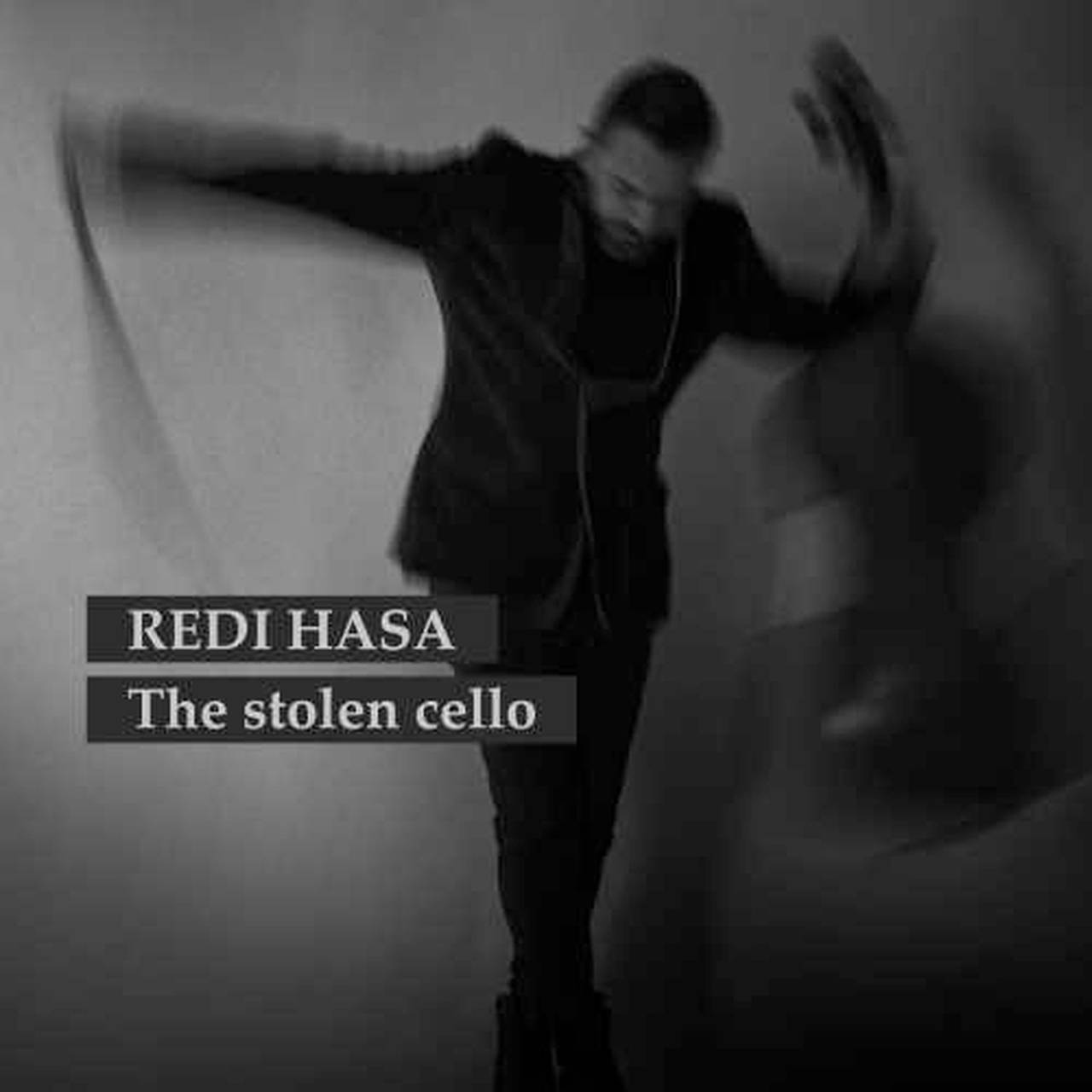 Redi Hasa The Stolen Cello LP (Vinyl)