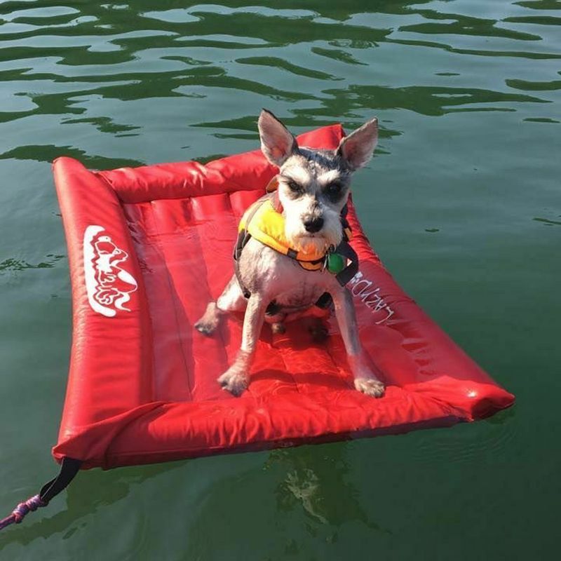Lazy Dog Lounger Portable Puncture Resistant Durable Semi Submersible Water Float Pad for Pools and Lakes with Built In Attachment Loop, Red (Small)