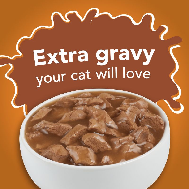 Purina Friskies Extra Gravy Chunky Chicken, Turkey, Salmon & Beef Wet Cat Food - 5.5oz/24ct Variety Pack