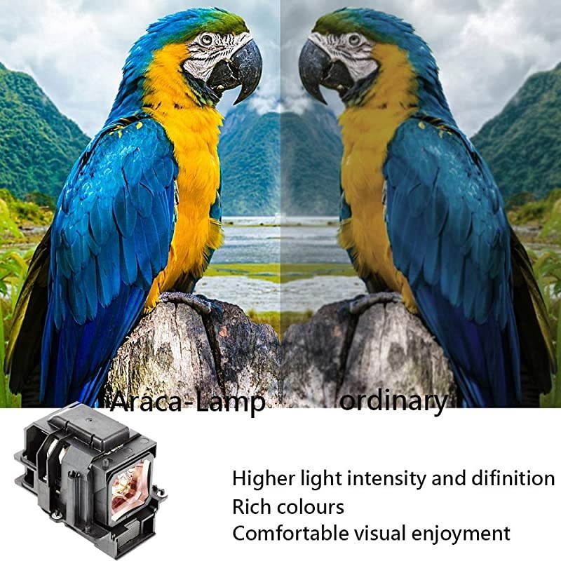 VT75LP Projector Lamp with Housing for NEC LT280 LT380 VT670 VT676 VT470 50030763 Replacement Projector Lamp